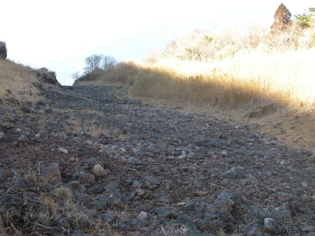 e0272335_211201.jpg