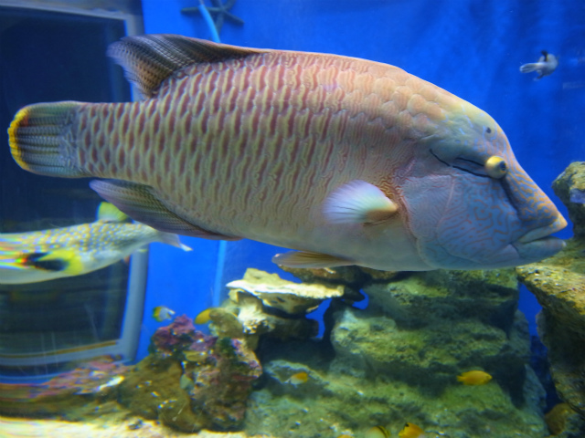a0087341_6291580.jpg
