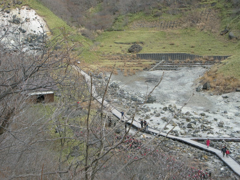 d0333943_14584028.jpg