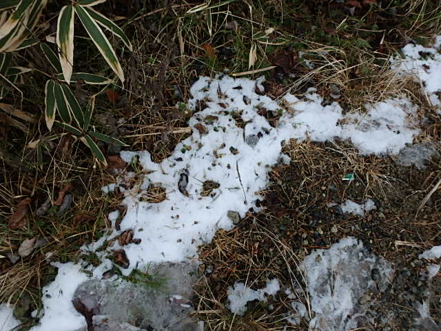 f0334143_14261139.jpg