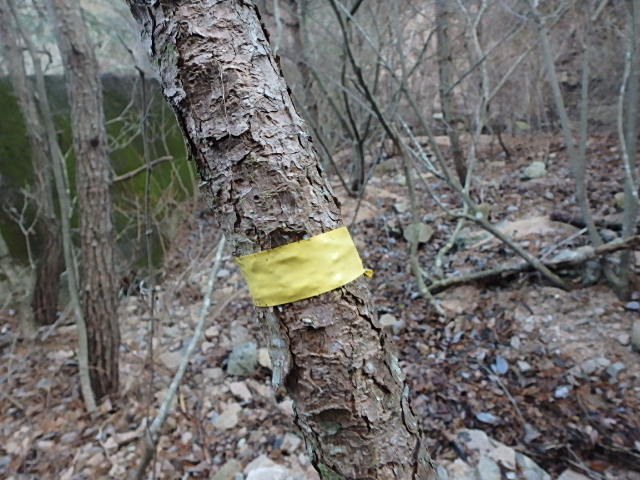 f0334143_14383377.jpg