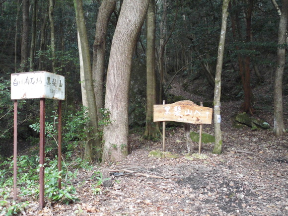 a0206345_20332211.jpg