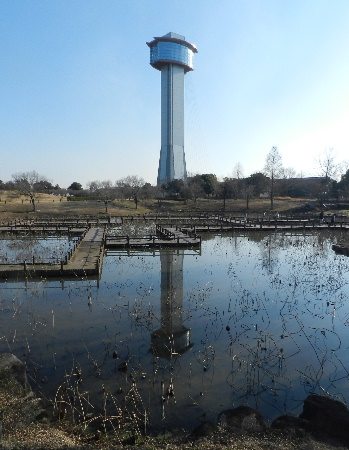 e0172950_17403335.jpg
