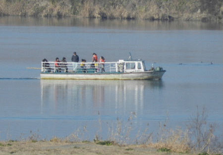 e0172950_1740528.jpg
