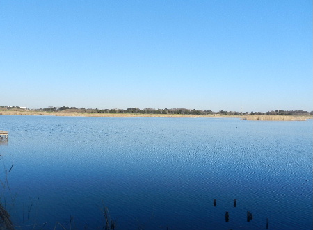 e0172950_7231222.jpg