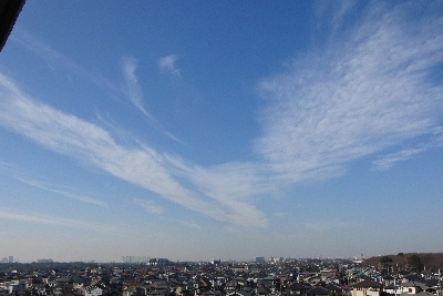 e0172950_7432569.jpg