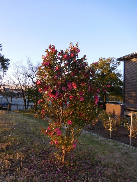 c0327752_14191957.jpg