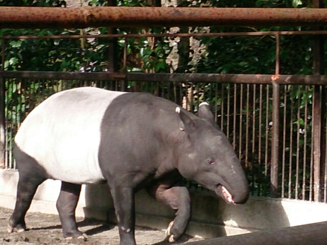 b0193754_0125913.jpg