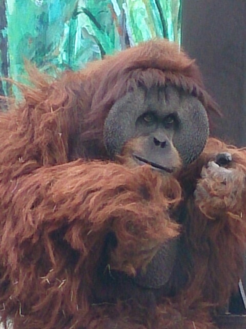 b0193754_0125942.jpg