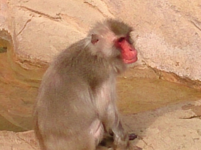 b0193754_0125985.jpg
