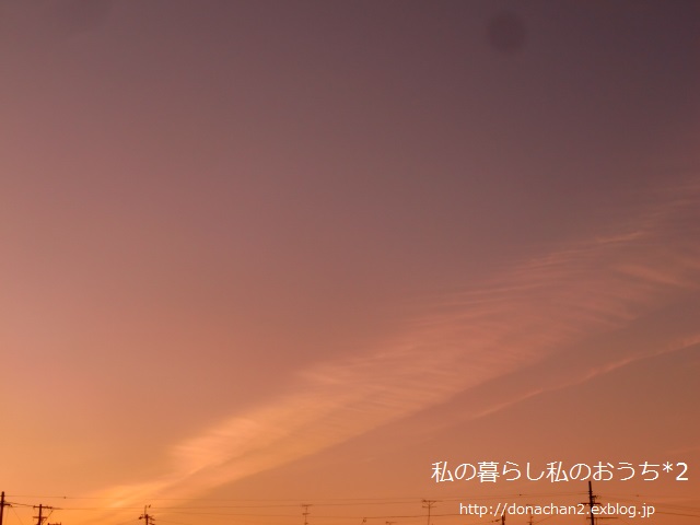 e0354456_1262410.jpg