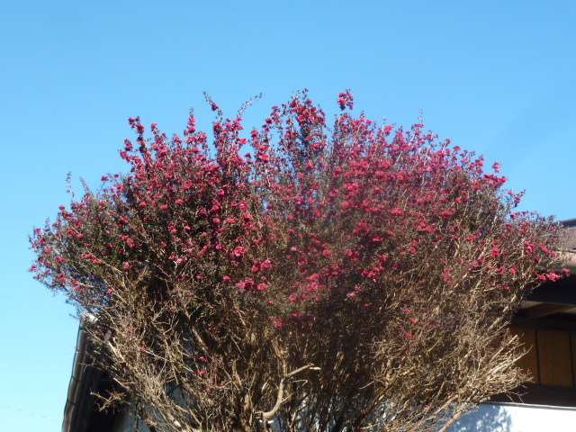 e0278968_21401839.jpg