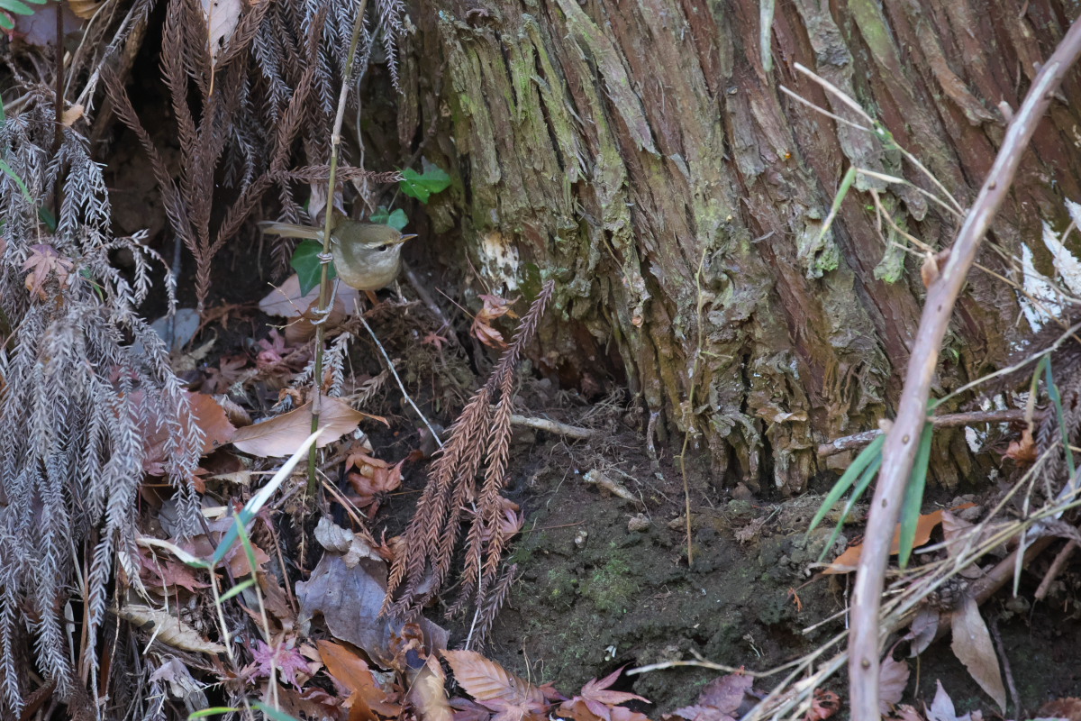 a0083081_17521174.jpg
