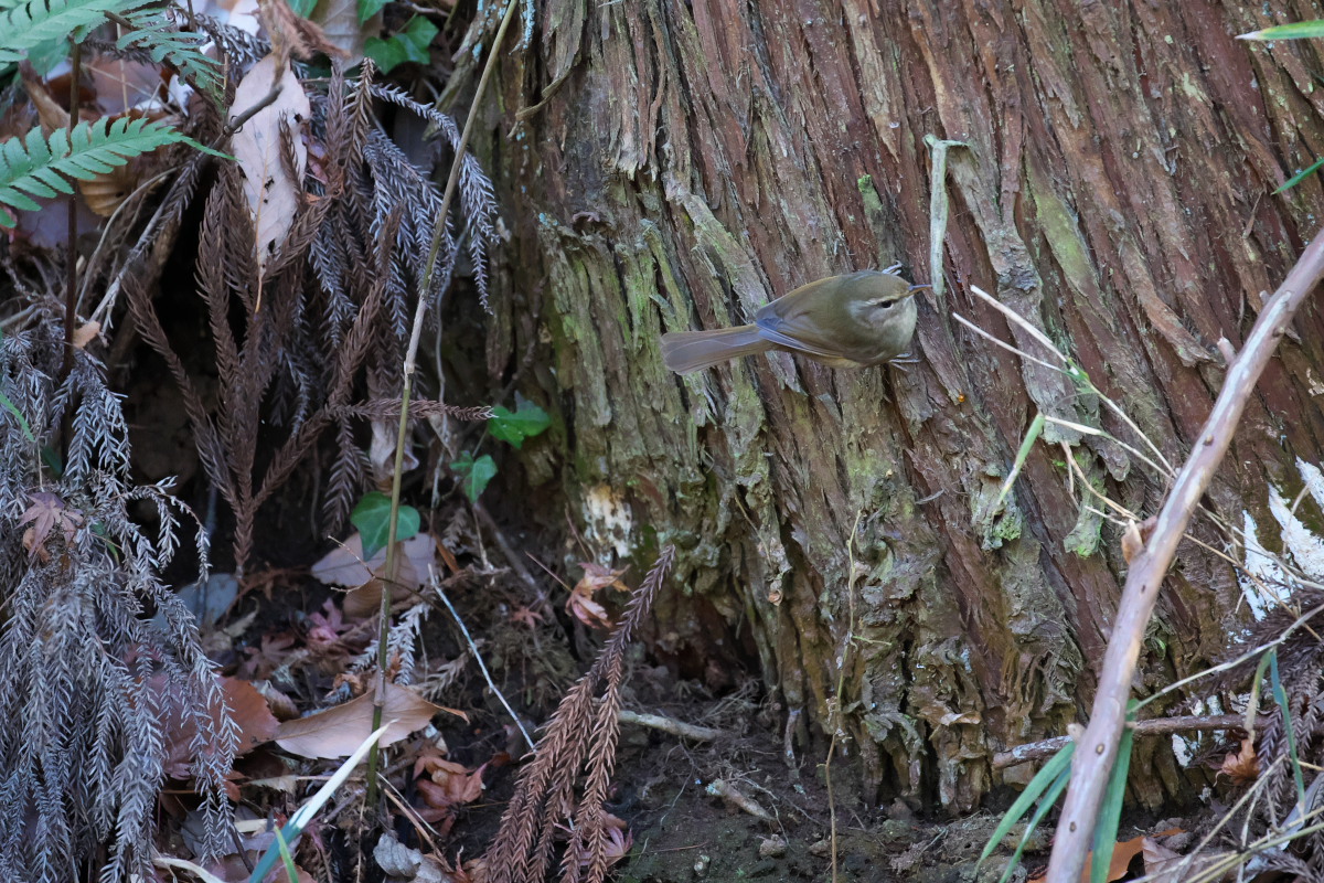 a0083081_17522588.jpg