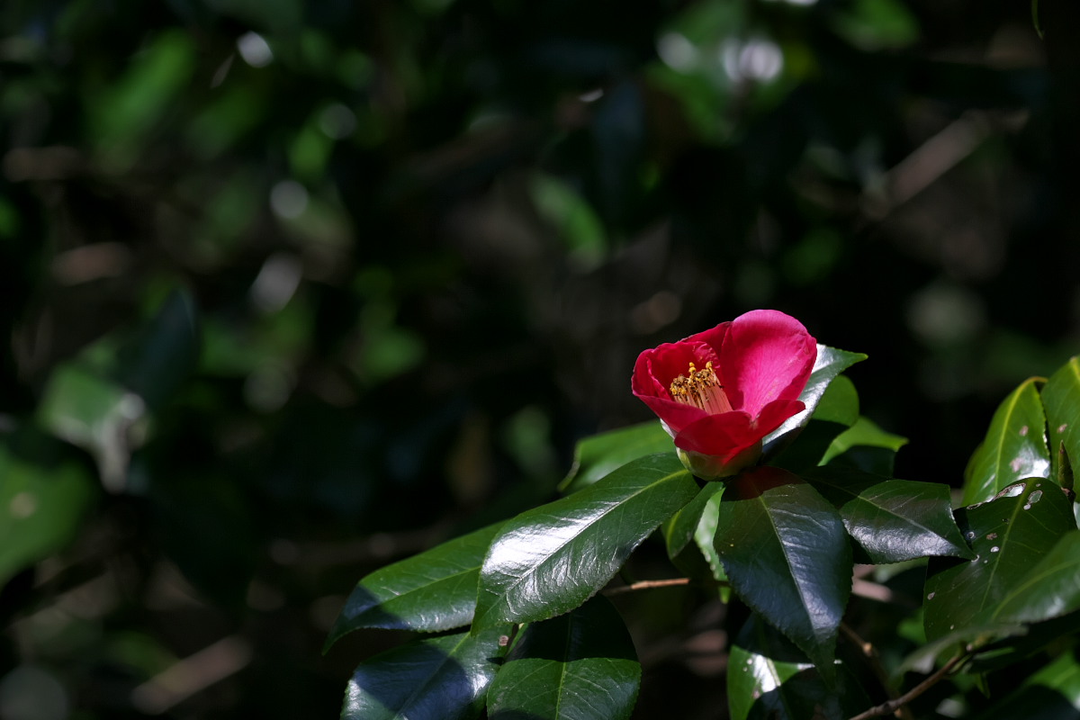 a0083081_1754667.jpg