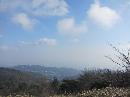 a0251786_21291339.jpg