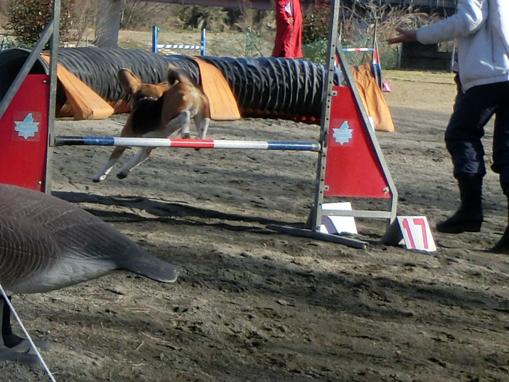 a0319693_1018597.jpg