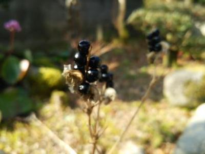 c0118495_2240692.jpg