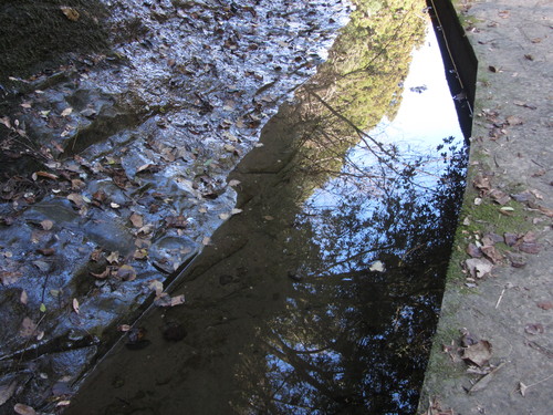 e0033301_18185983.jpg