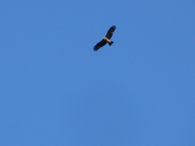 e0033301_184716.jpg