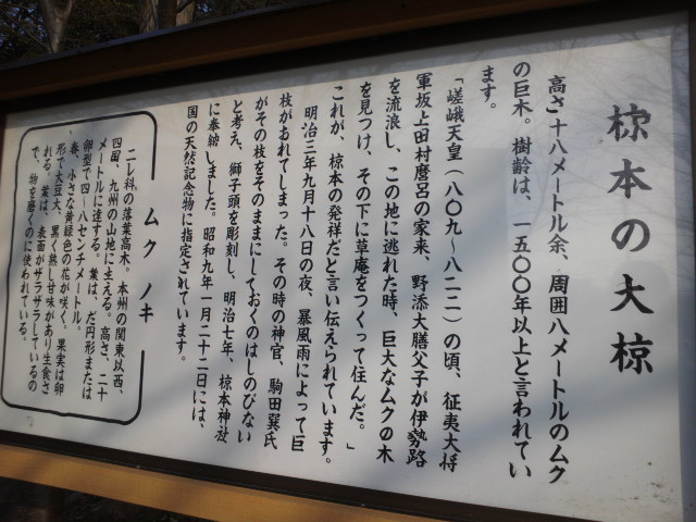 e0099212_20493143.jpg