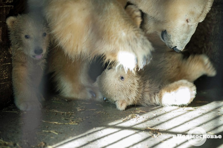 a0151913_16111273.jpg