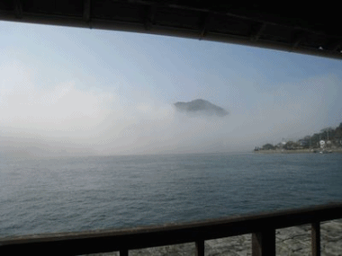 b0037714_2146716.gif