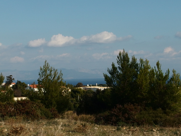 d0042214_1939233.jpg