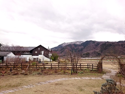c0084117_2022993.jpg
