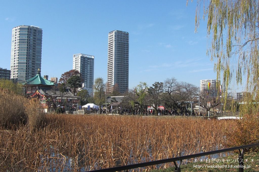 e0052135_2284258.jpg