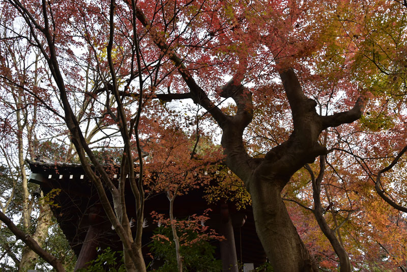 b0042837_2136750.jpg