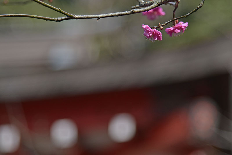 b0042837_21382614.jpg