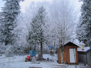 b0090654_232225.jpg
