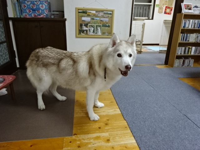 a0241761_15312378.jpg