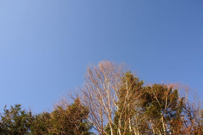 e0307372_17350946.jpg