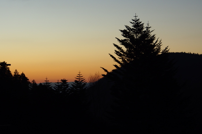 e0307372_17455158.jpg