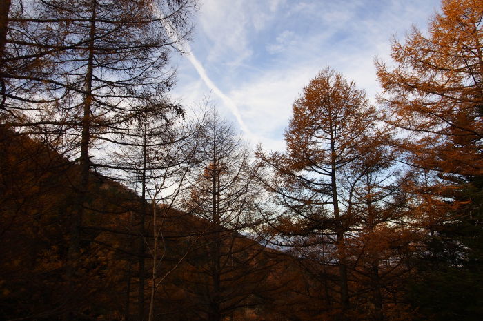 e0307372_18372593.jpg