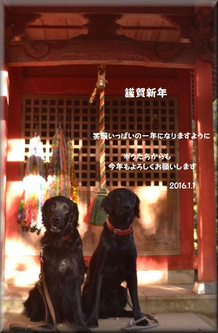 e0099375_18132377.jpg