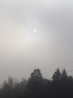 e0247279_17120711.jpg