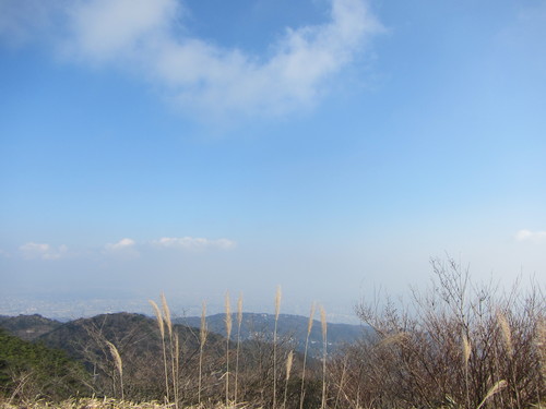 a0251786_20583494.jpg
