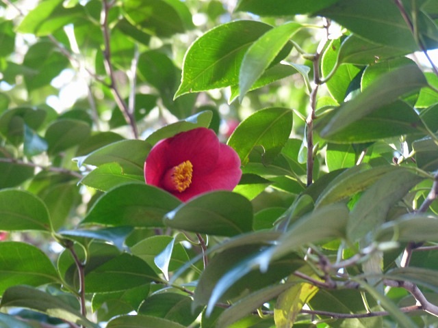 f0357487_1313679.jpg