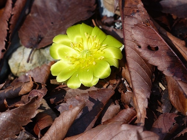 f0357487_13501032.jpg