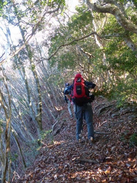 f0357487_13534673.jpg