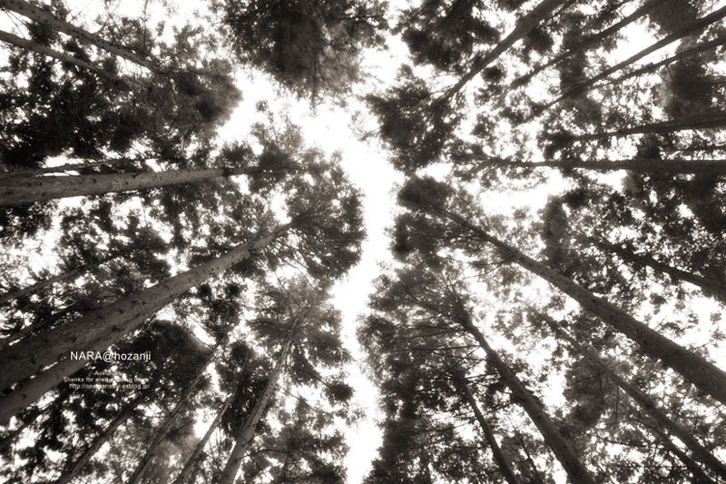 d0145990_00014743.jpg