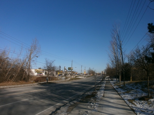 d0000995_92335.jpg