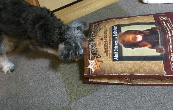 b0188998_23501223.jpeg