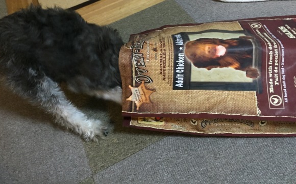 b0188998_23502912.jpeg