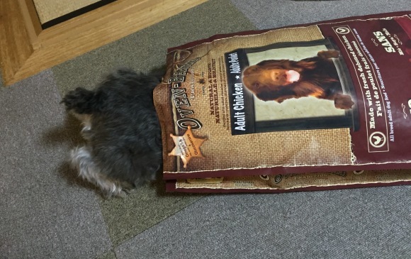 b0188998_23505328.jpeg