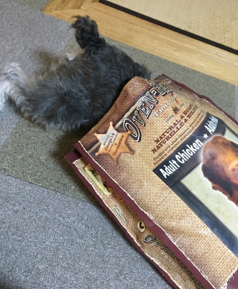 b0188998_23513850.jpeg