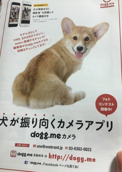 b0188998_23565606.jpeg
